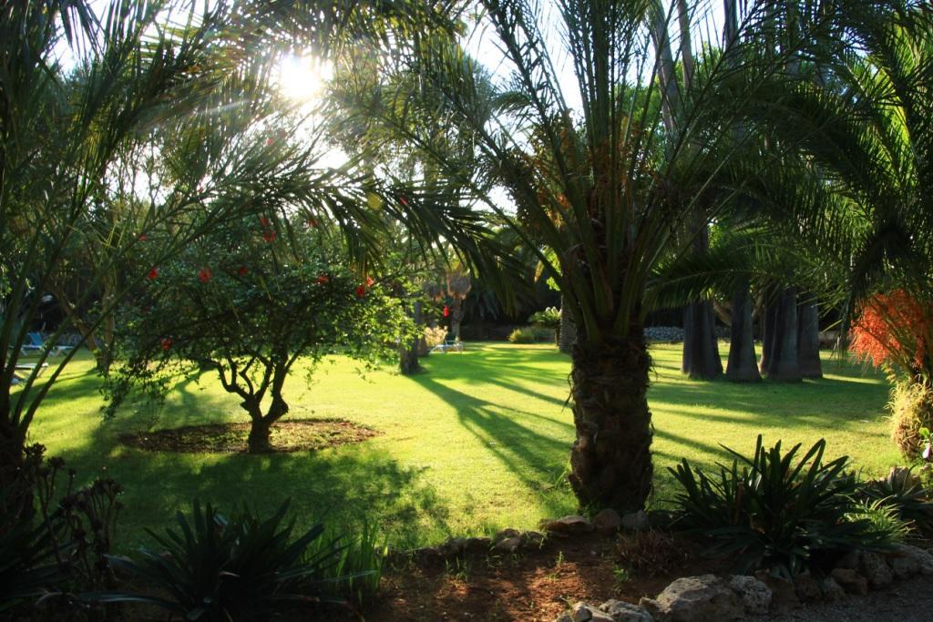 Finca Hotel Predio Son Serra Кан Пикафорт Екстериор снимка